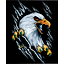 clanlogo