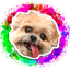 clanlogo