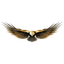 clanlogo